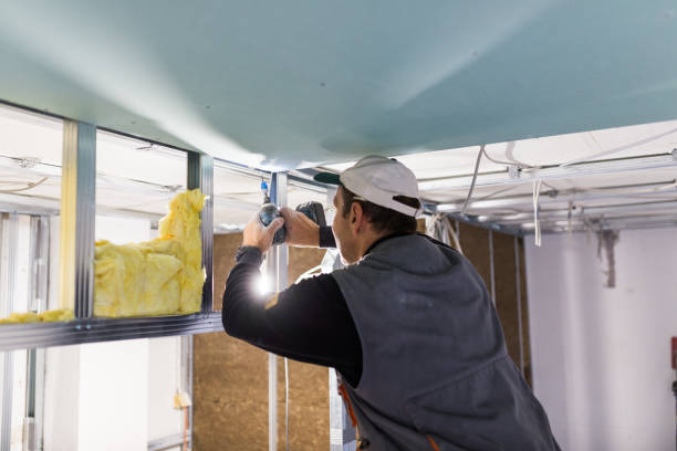 Best Insulation for New Construction  in Traverse City, MI